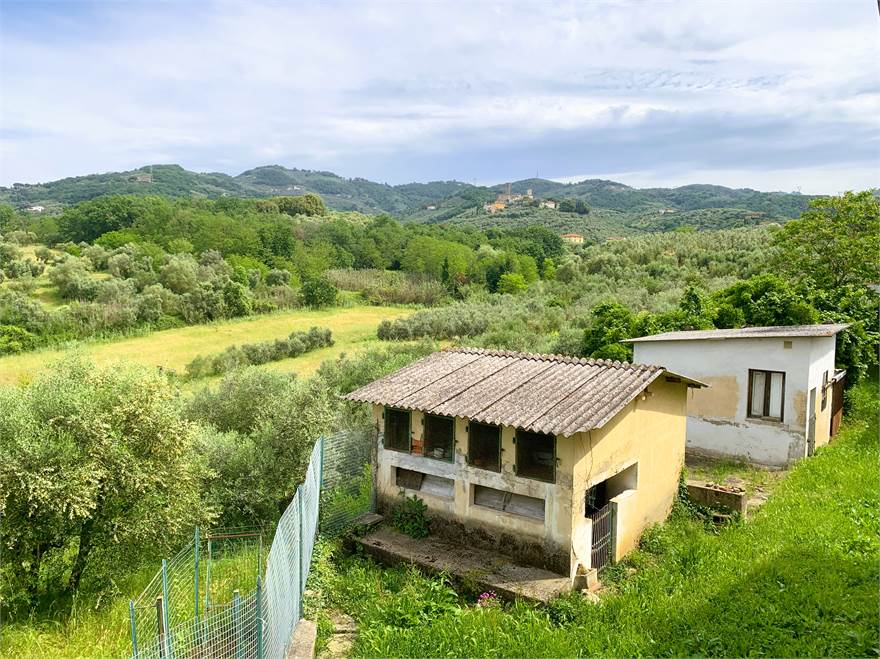 Veduta sul giardino 